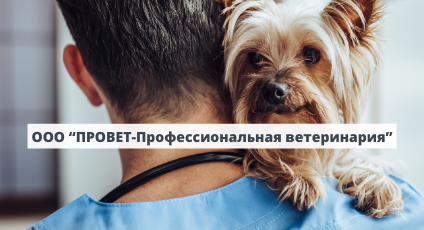 Немного о ветеринарии, или как найти склад близко